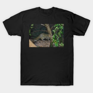 Shrew T-Shirt